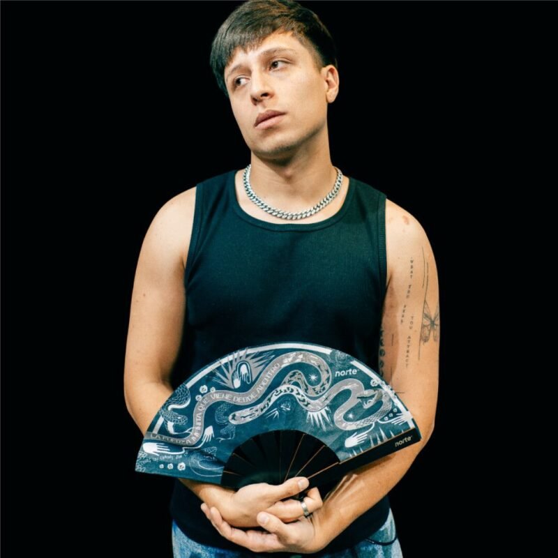 Abanico Cosmic Serpent Grey Standard Abanico Cosmic Serpent Grey Standard